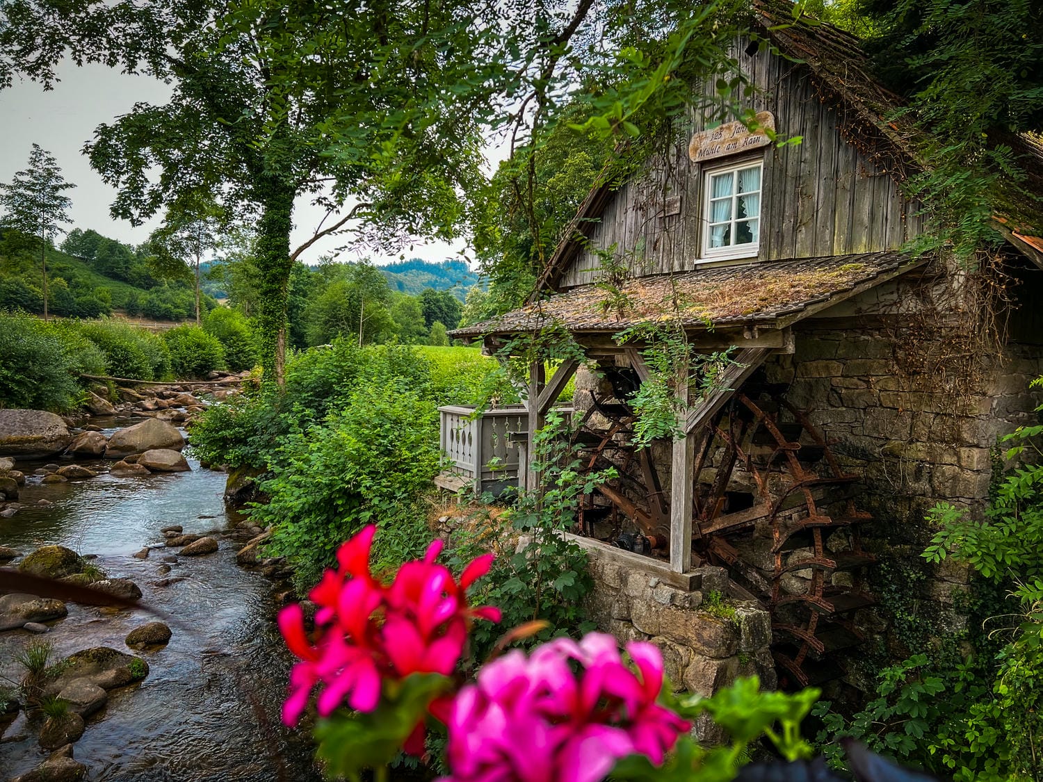 Bild von Deutscher Mühlentag Rainbauernühle