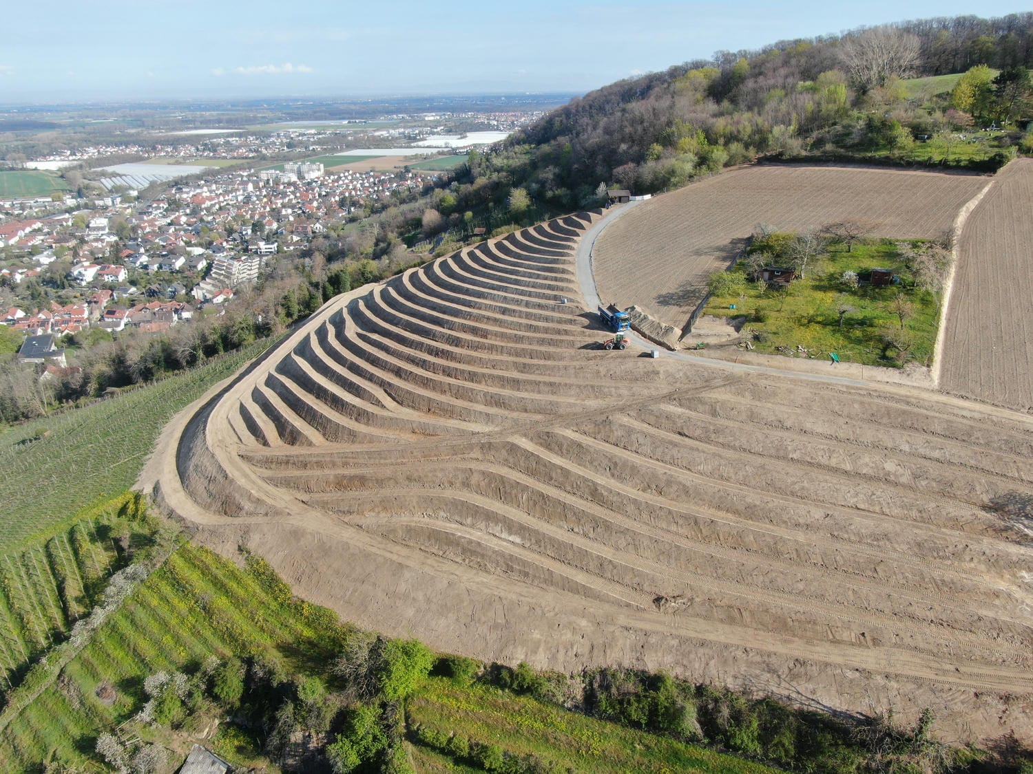 Bild von Terrassierung von Rebanlage