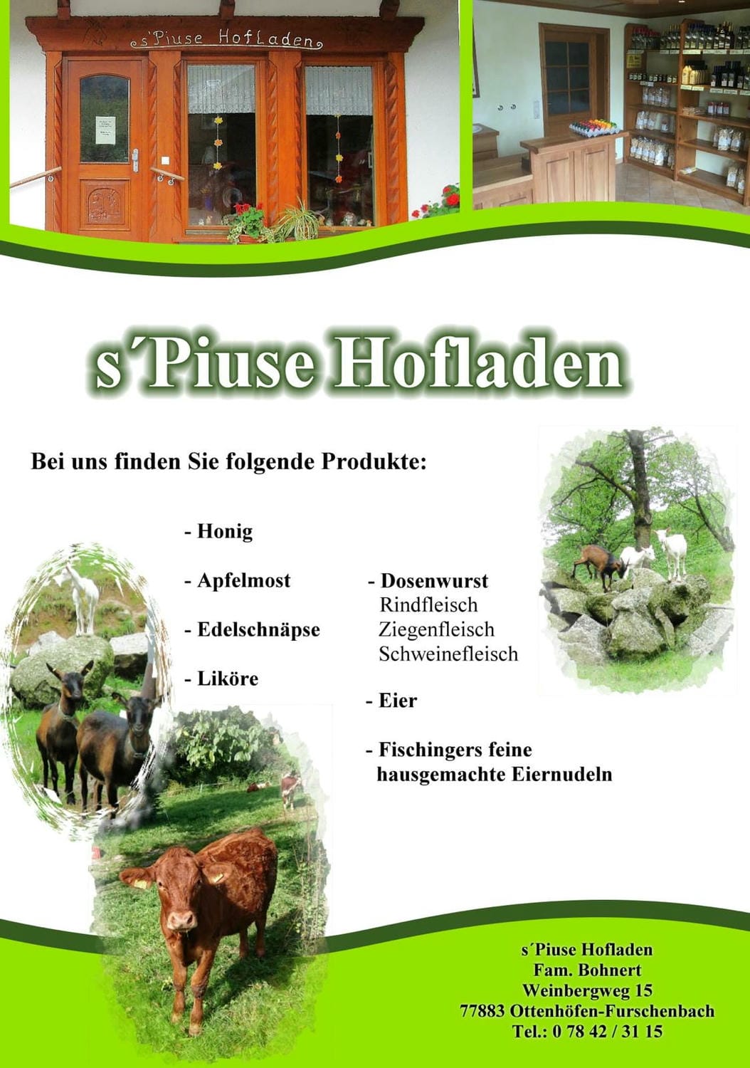 Bild von Flyer