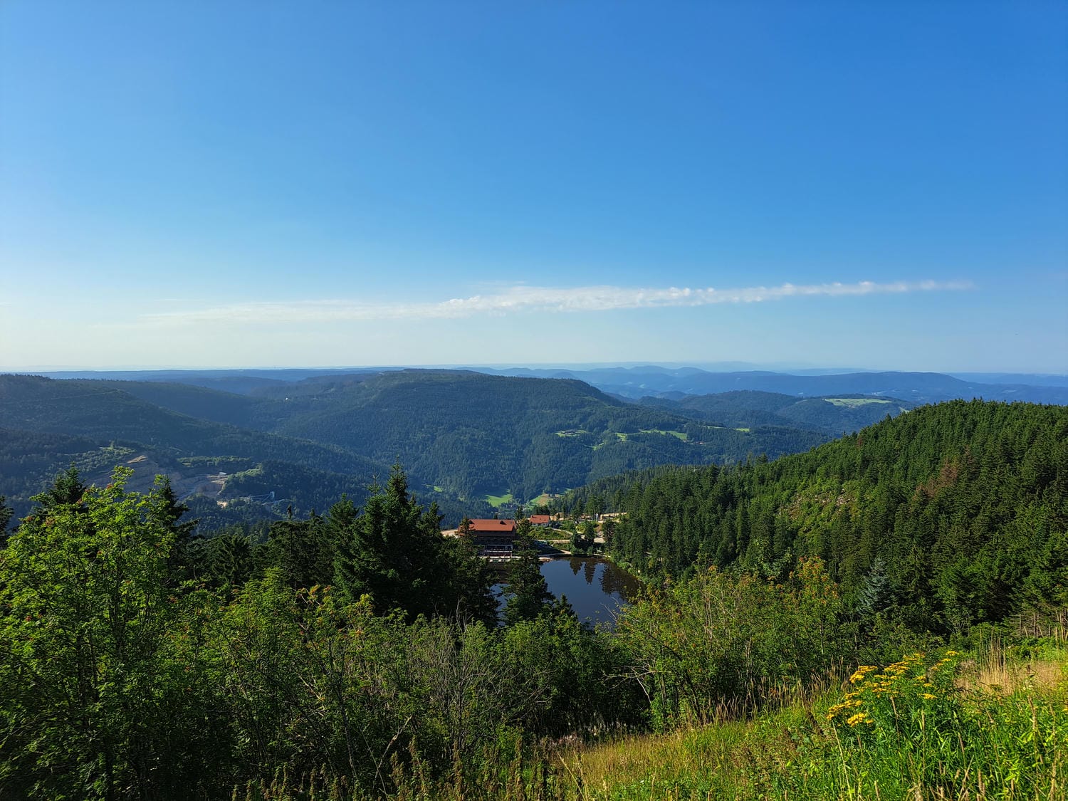 Bild von Der Mummelseeblick von der Hornisgrinde