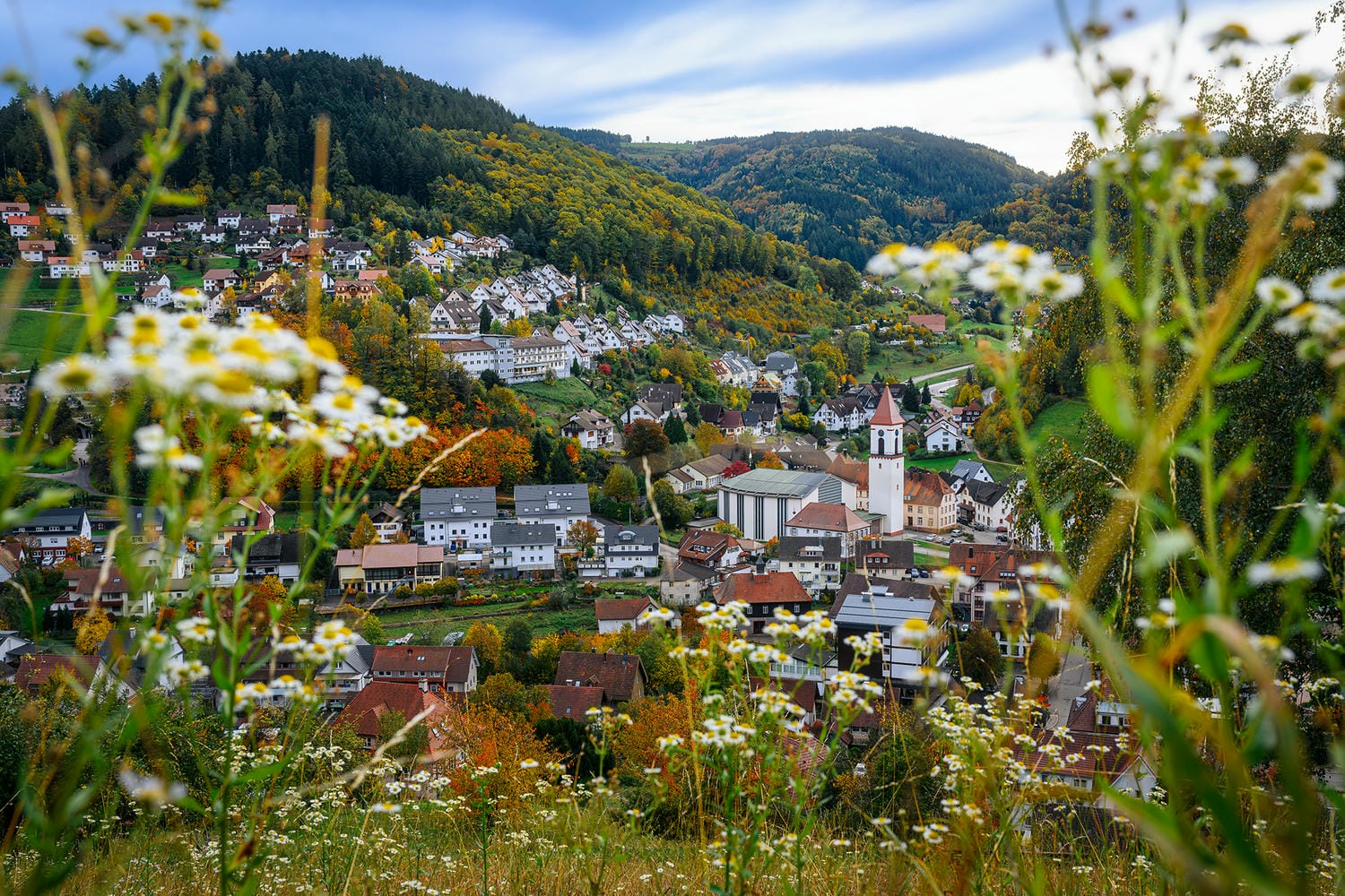 Bild von Ortsansicht Ottenhöfen