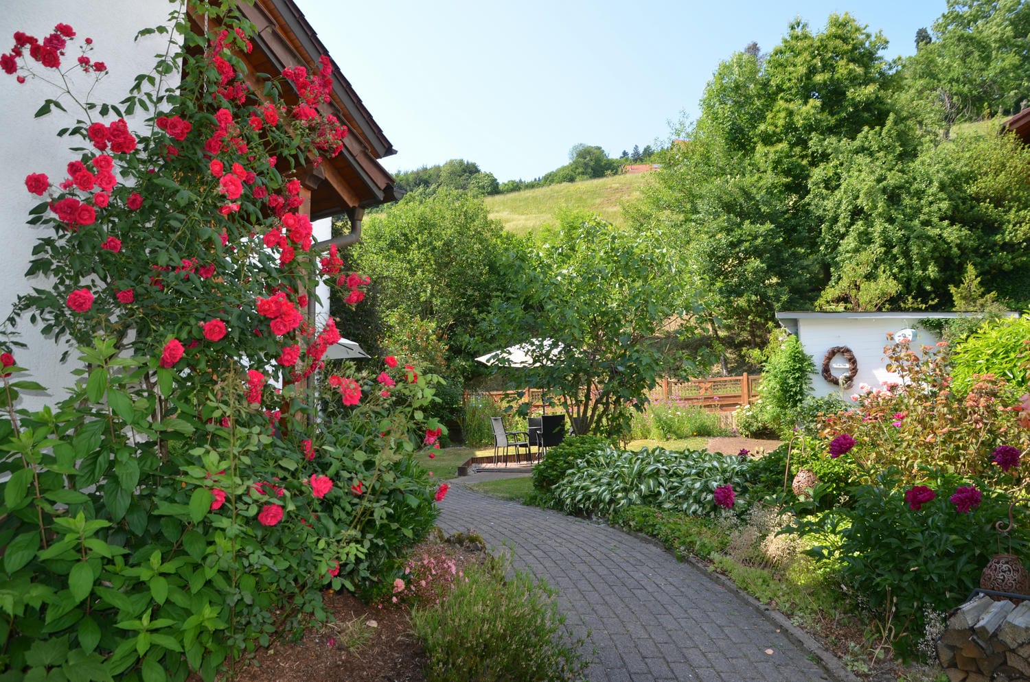 Bild von Garten